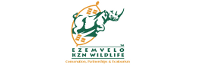 kzn